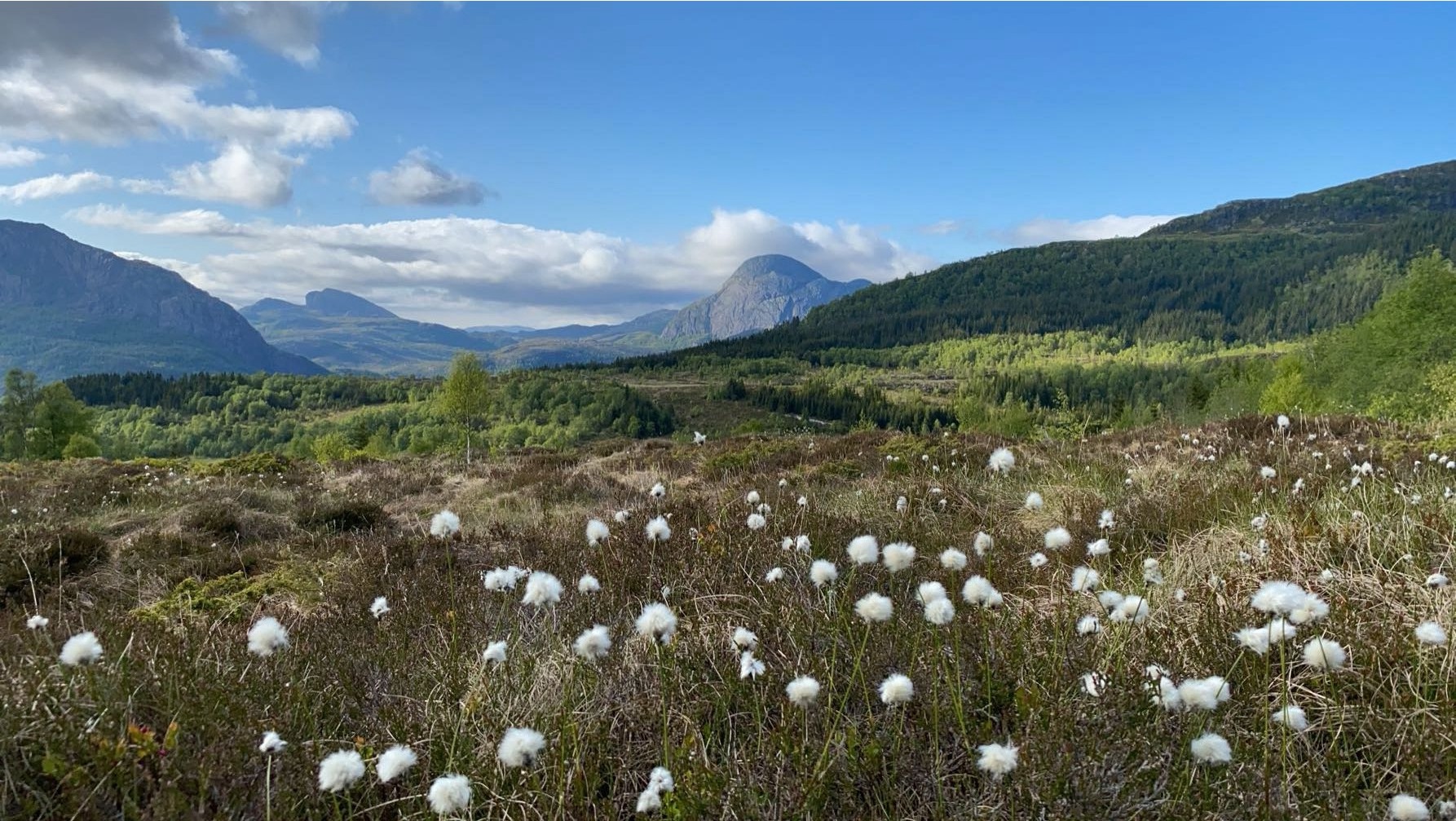 Fjaler kommune Helse og omsorg